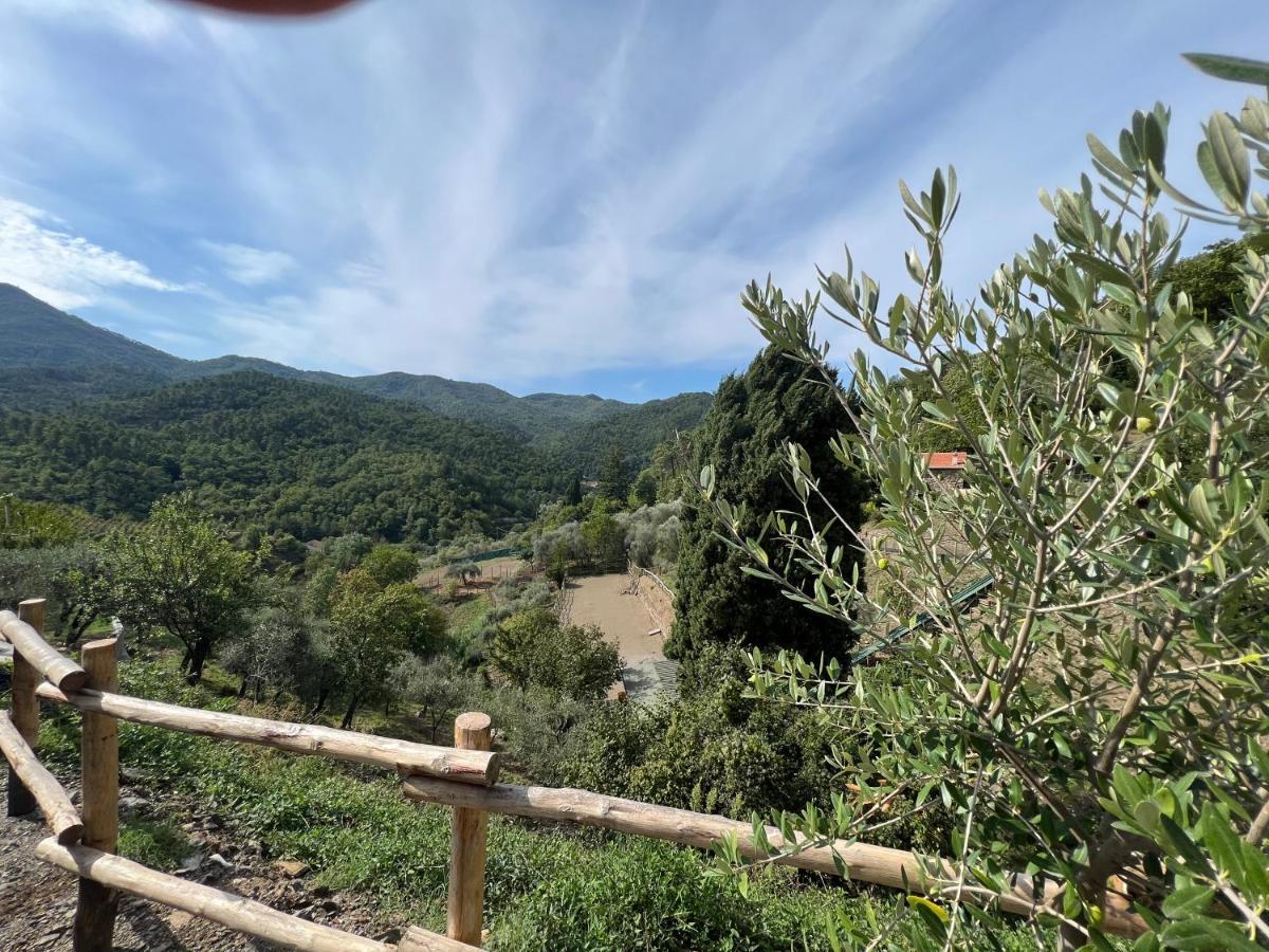 Agriturismo Torsivi Castiglione Chiavarese Dış mekan fotoğraf