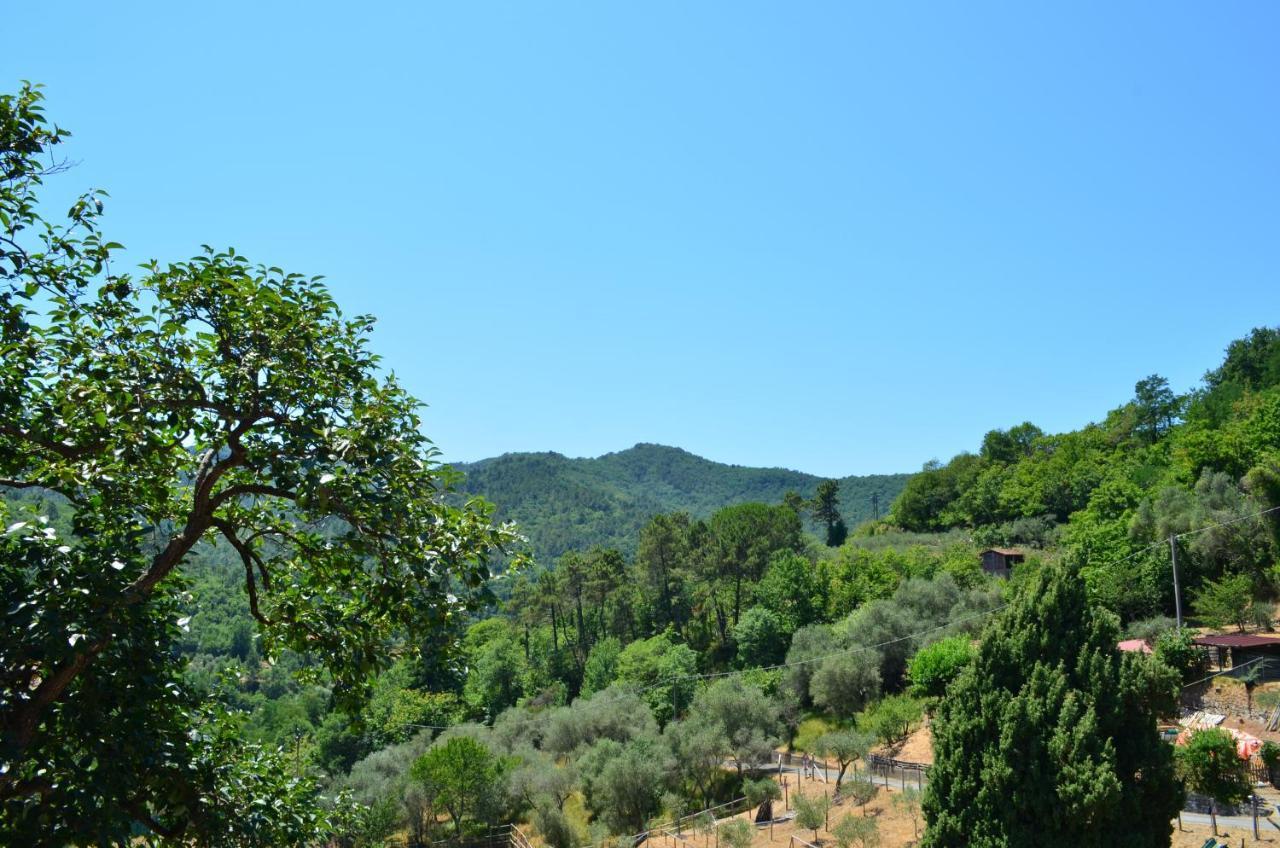 Agriturismo Torsivi Castiglione Chiavarese Dış mekan fotoğraf