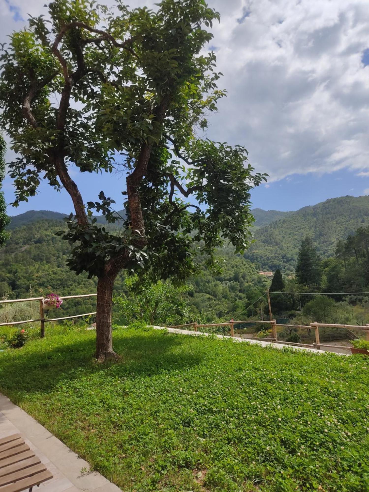 Agriturismo Torsivi Castiglione Chiavarese Dış mekan fotoğraf
